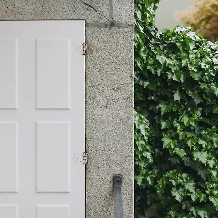 בית הארחה Rosa Et Al Townhouse