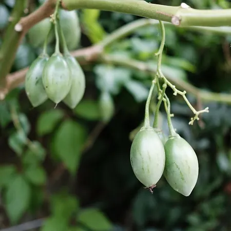 Rosa Et Al Townhouse Pensjonat Porto