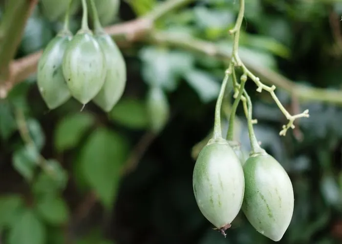 Rosa Et Al Townhouse بيت ضيافة بورتو