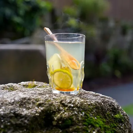 Rosa Et Al Townhouse Porto